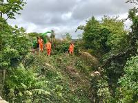 Vegetation clearance under way on the embankment east of the Muirhead Road overbridge. A temporary pedestrian and services bridge will be installed at this location during the works to replace the bridge deck.<br><br>[Colin McDonald 05/09/2017]