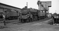 Fifty years ago today; having secured permission to go round Carlisle Kingmoor, this was the melancholy sight which greeted my father and myself as we made our way towards the shed building on 27th August 1967 - Black 5 No. 45120 which had been withdrawn two months previously, with classmate No. 44928 to its left, also a June 1967 casualty. Behind 45120 is a withdrawn 9F, possibly No. 92080 which had succumbed in May.<br>
While the peripheral sidings were full of withdrawn locos, a fair proportion of the 105 locos seen were still active, including two Holbeck Jubilees (45562 and 45593) which had arrived in Carlisle the previous day on dated SO workings over the S&C. In fact it was difficult to believe that 12A was due to close just four months later. I wonder who the young chap on the left is - probably he's now one of these grey haired old geysers still to be seen at Citadel station whenever steam is due on a special!<br><br>[Bill Jamieson 27/08/1967]