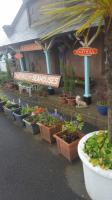 Chathill, with one or two plants on the platform ...<br><br>[John Yellowlees 22/06/2017]
