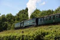 34081 <I>92 Squadron</I>, an Un-Rebuilt Battle of Britain 4-6-2 and one of five Bullied Pacifics working at the End of Southern Steam 50th Gala at the Mid-Hants Railway in July 2017.<br>
<br><br>[Peter Todd 02/07/2017]