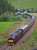 The first SRPS 'The Forth Bridge & Scottish Borders' of August approaches Galabank Junction. 37685 brings up the rear.<br><br>[Bill Roberton 06/08/2017]