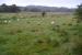 The trackbed of the Sannox Tramway is the distant linear feature in this field close to the jetty.<br><br>[Bill Roberton 16/08/2017]