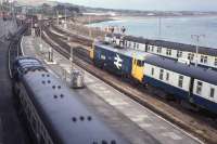 08644 and 50036 'Victorious' share a Sunday afternoon at Penzance. A 3-car DM is also visible to the east of the station. 5th July 1981.<br>
<br><br>[Graeme Blair 05/07/1981]