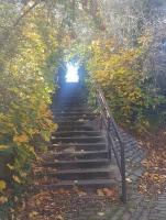 The climb - steps up to the former Haddington station.<br><br>[John Yellowlees 22/10/2017]