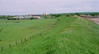 View from the east fork of the Glasgow and South Western's extension of the Potterhill Branch to Barrhead. In the background a passing Sprinter is on the Glasgow - Barrhead line.<br><br>[Ewan Crawford //1999]