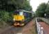 GBRf 73971 slows to call at Garelochhead with the Fort William bound sleeper service on 1st August 2017. <br><br>[Mark Bartlett 08/10/2017]