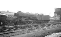 The changing balance of power is apparent in this photograph taken in the shed yard at Gateshead in the 1960s, with an unidentified Gresley A3 Pacific surrounded by recently arrived Type 3 and Type 4 diesel locomotives.  <br><br>[K A Gray //]