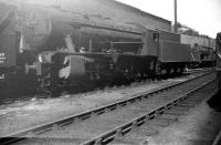Another view of WD Austerity 2-8-0 no 90074, stabled alongside the south wall of Hawick shed on Sunday 24 August 1958 [see image 62589].<br><br>[Robin Barbour Collection (Courtesy Bruce McCartney) 24/08/1958]