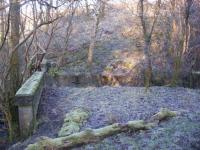 Looking towards Kilbirnie across the abutments of the bridge over the <br>
Powgree Burn to the west of Brackenhills station on the Giffen - <br>
Kilbirnie branch of the Lanarkshire and Ayrshire Railway. Beyond this <br>
point the line is completely obliterated, bridges and abutments removed, <br>
cuttings infilled and embankments removed. Visited on a frosty winter <br>
day when access is easier and the bridge is not hidden by foliage. The <br>
track was probably lifted around 1950.<br>
<br>
<br><br>[Douglas Blades 12/01/2018]