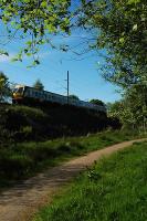 Southbound from Milngavie in lush greenery.<br><br>[Ewan Crawford //]