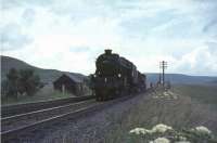After passing over Bodsbury level crossing, Black 5 45478 drops down towards Elvanfoot on 30 July 1966 at the head of a short goods train.<br><br>[John Robin 30/07/1966]
