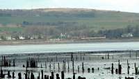 Viewed across the old timber ponds at Port Glasgow is a westbound train approaching Cardross.<br><br>[Ewan Crawford //]