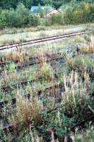 Blair Atholls sidings are getting into a bit of a state. Looking south from footbridge.<br><br>[Ewan Crawford //]