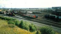 Mossend Marshalling Yard viewed from the north end bing (bing now removed).<br><br>[Ewan Crawford //1987]