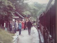 <h4><a href='/locations/D/Dolgoch'>Dolgoch</a></h4><p><small><a href='/companies/T/Talyllyn_Railway'>Talyllyn Railway</a></small></p><p>A scene on the Talyllyn Railway with a Tywyn Wharf to Nant Gwernol train arriving at Dolgoch station, in July 1980. 1/9</p><p>/07/1980<br><small><a href='/contributors/David_Bosher'>David Bosher</a></small></p>