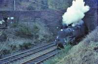 80051 comes out of the tunnel at Fairlie pier Junction on 11 April 1966.<br><br>[John Robin 11/04/1966]