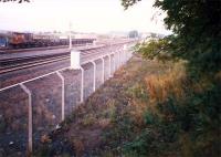 Elderslie looking north, taken from the stump of the old station overbridge. The canal line came in from the right.<br><br>[Ewan Crawford //1987]