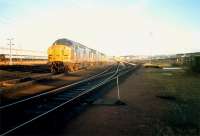 Looking east at Polmadie Down Holding Sidings. Depot off to left.<br><br>[Ewan Crawford //1987]