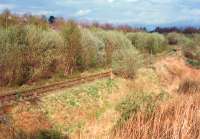 Alloa Marshalling Yard looking east. By the time the line closed the yard (foreground) had replaced the mainline (beyond trees) as the route in use.<br><br>[Ewan Crawford //1988]