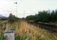 Looking east to Alloa at the former mainline by Alloa Marshalling Yard. The through route fell out of use before the yard. Access by kind permission of British Rail.<br><br>[Ewan Crawford //1988]