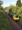 <h4><a href='/locations/C/Chilvers_Coton'>Chilvers Coton</a></h4><p><small><a href='/companies/C/Coventry_to_Nuneaton_London_and_North_Western_Railway'>Coventry to Nuneaton (London and North Western Railway)</a></small></p><p>Whos a pretty boy then? Clearly not 70017, which is passing the former platforms of Chilvers Coton station, to the south of Nuneaton. The back of the train is coming off Coton Arches viaduct; while the central girder of the bridge carrying the tracks over the Coventry Canal can also be seen in the distance. The train is no. 441G from Trafford Park to Southampton. 97/99</p><p>24/05/2022<br><small><a href='/contributors/Ken_Strachan'>Ken Strachan</a></small></p>