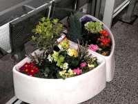 One of the attractive planters at Westerton station on 24 January 2013. See adjacent news item.<br><br>[ScotRail 24/01/2013]
