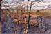 Looking north at the stumps of the former Border Counties viaduct running north from Border Counties Junctions.<br><br>[Ewan Crawford /11/1997]