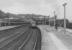 D8086, D8507 and 42216 await the ferry at Wemyss Bay.<br><br>[John Robin 13/08/1963]