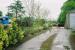 Coulter Station showing platform looking east towards Biggar.<br><br>[Clive Barlow 26/05/2006]