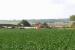 A Paris bound TGV speeding past the Chateau of a small but exclusive vineyard in the Dordogne perhaps... no, an Edinburgh bound Voyager passing between a cabbage field and the former Innerwick station, East Lothian, in the summer of 2006.<br><br>[John Furnevel 06/07/2006]